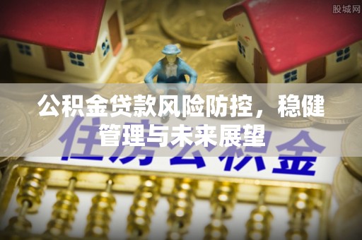 成武公积金贷款风险防控，稳健管理与未来展望
