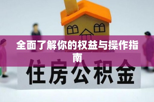 成武全面了解你的权益与操作指南