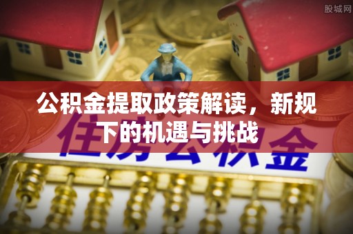 成武公积金提取政策解读，新规下的机遇与挑战