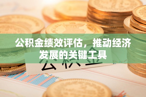 成武公积金绩效评估，推动经济发展的关键工具