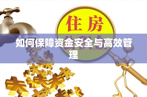 成武如何保障资金安全与高效管理