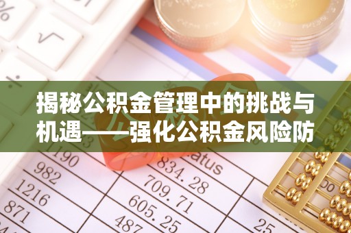 成武揭秘公积金管理中的挑战与机遇——强化公积金风险防控的多维策略