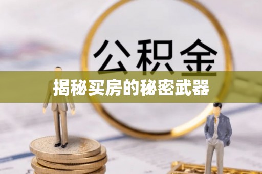 成武揭秘买房的秘密武器