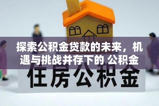 成武探索公积金贷款的未来，机遇与挑战并存下的 公积金贷款风险防控