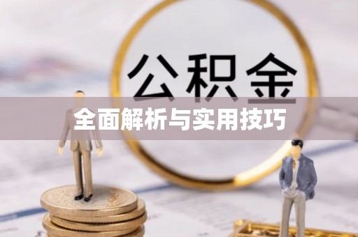 成武全面解析与实用技巧