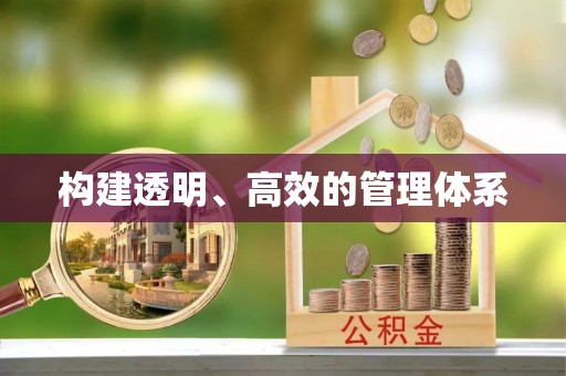 成武构建透明、高效的管理体系