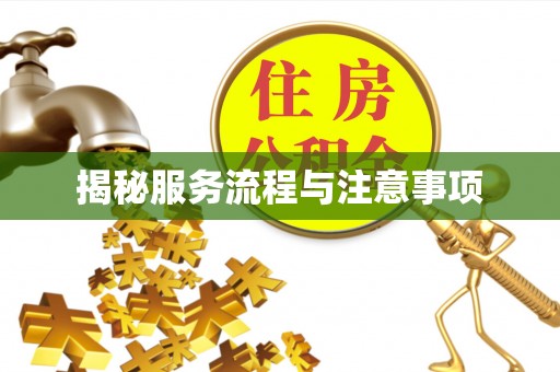 成武揭秘服务流程与注意事项