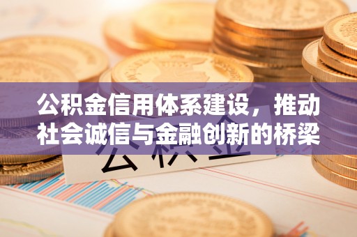 成武公积金信用体系建设，推动社会诚信与金融创新的桥梁