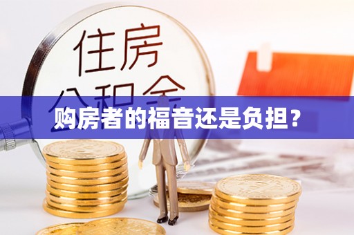 成武购房者的福音还是负担？