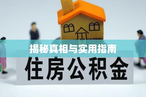 成武揭秘真相与实用指南