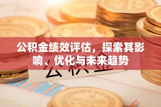 成武公积金绩效评估，探索其影响、优化与未来趋势