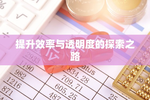 成武提升效率与透明度的探索之路