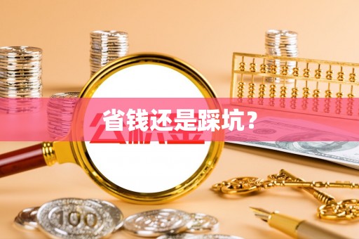 成武省钱还是踩坑？