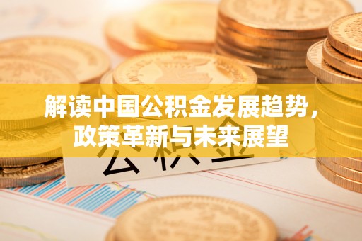 成武解读中国公积金发展趋势，政策革新与未来展望