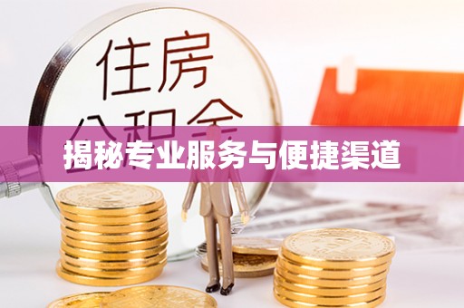 成武揭秘专业服务与便捷渠道