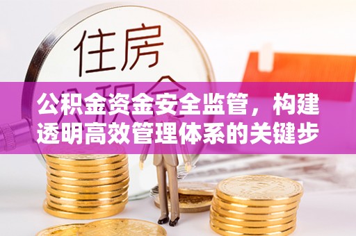 成武公积金资金安全监管，构建透明高效管理体系的关键步骤