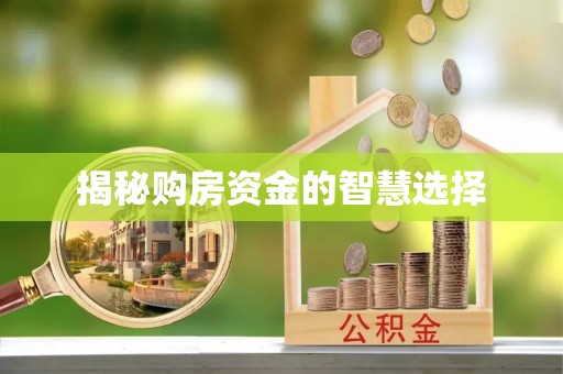 成武揭秘购房资金的智慧选择