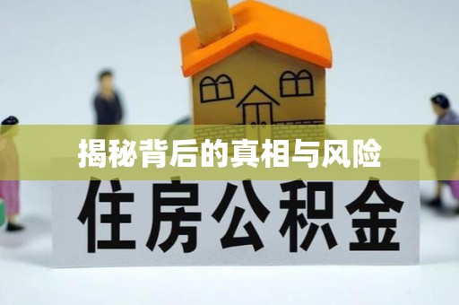 成武揭秘背后的真相与风险