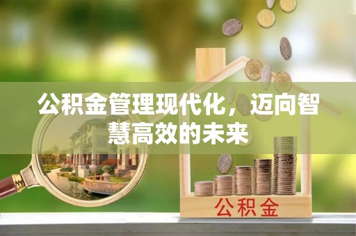 成武公积金管理现代化，迈向智慧高效的未来