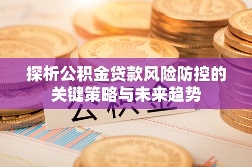 成武探析公积金贷款风险防控的关键策略与未来趋势
