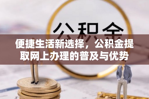 成武便捷生活新选择，公积金提取网上办理的普及与优势