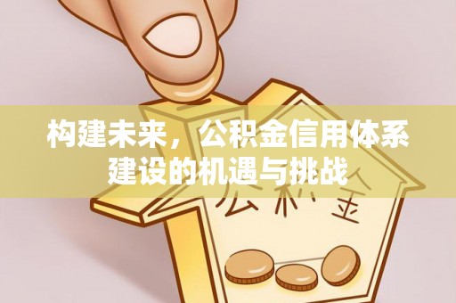 成武构建未来，公积金信用体系建设的机遇与挑战