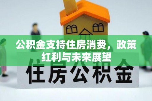 成武公积金支持住房消费，政策红利与未来展望