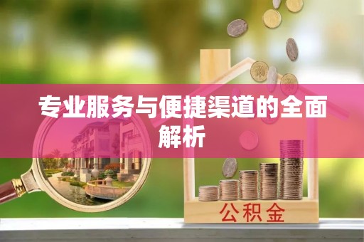 成武专业服务与便捷渠道的全面解析