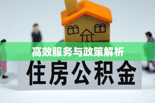 成武高效服务与政策解析