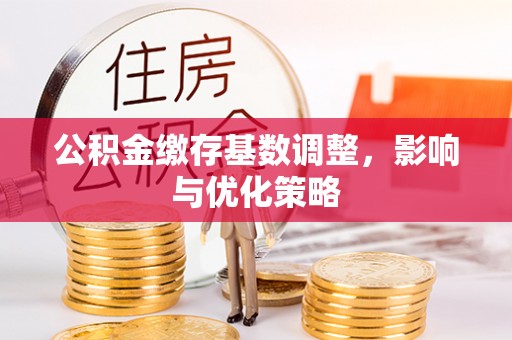 成武公积金缴存基数调整，影响与优化策略