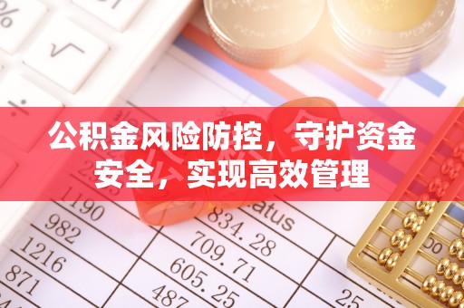 成武公积金风险防控，守护资金安全，实现高效管理