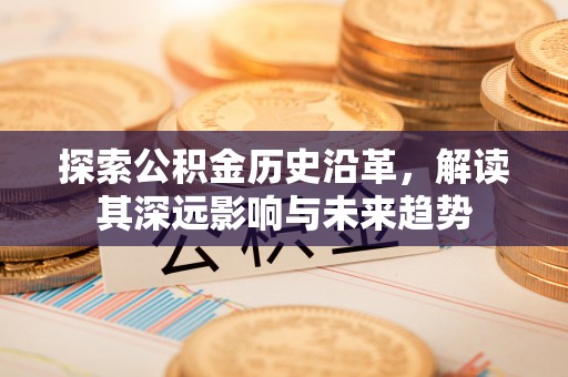 成武探索公积金历史沿革，解读其深远影响与未来趋势