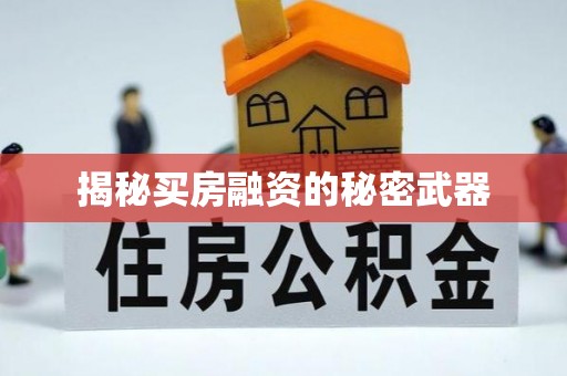 成武揭秘买房融资的秘密武器