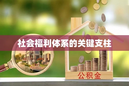 成武社会福利体系的关键支柱