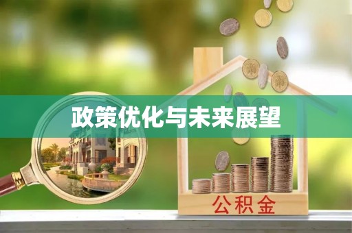 成武政策优化与未来展望