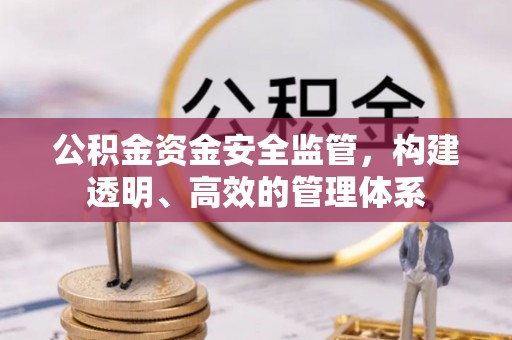 成武公积金资金安全监管，构建透明、高效的管理体系