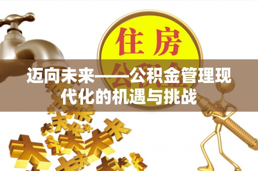 成武迈向未来——公积金管理现代化的机遇与挑战