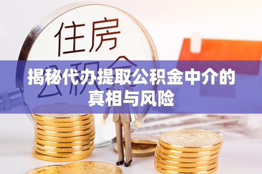 成武揭秘代办提取公积金中介的真相与风险