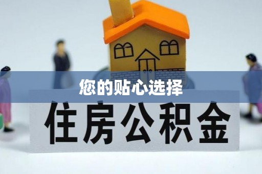 成武您的贴心选择