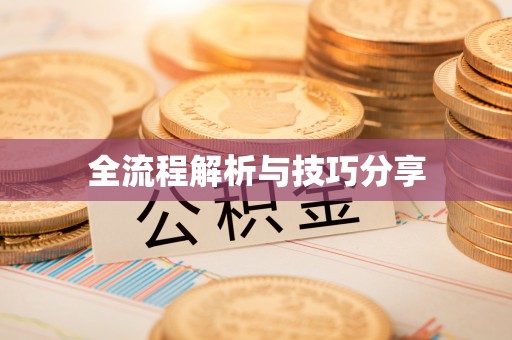 成武全流程解析与技巧分享