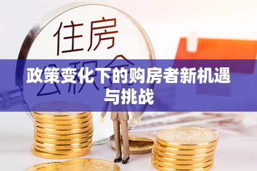 成武政策变化下的购房者新机遇与挑战