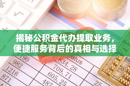 成武揭秘公积金代办提取业务，便捷服务背后的真相与选择