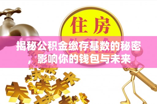 成武揭秘公积金缴存基数的秘密，影响你的钱包与未来