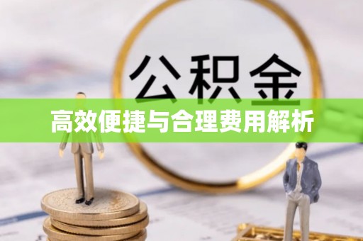 成武高效便捷与合理费用解析