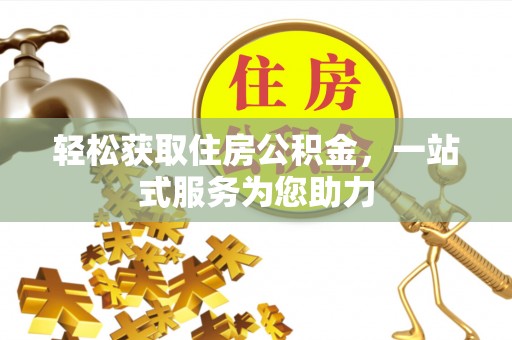 成武轻松获取住房公积金，一站式服务为您助力