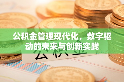 成武公积金管理现代化，数字驱动的未来与创新实践