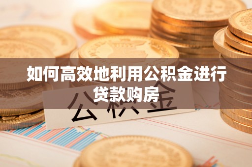 成武如何高效地利用公积金进行贷款购房
