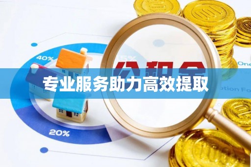 成武专业服务助力高效提取