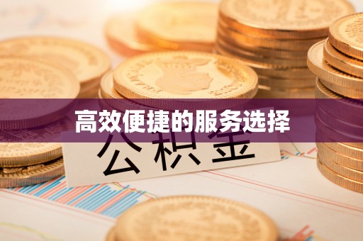 成武高效便捷的服务选择