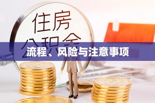 成武流程、风险与注意事项